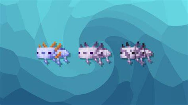 Are blue Axolotls in Bedrock edition?