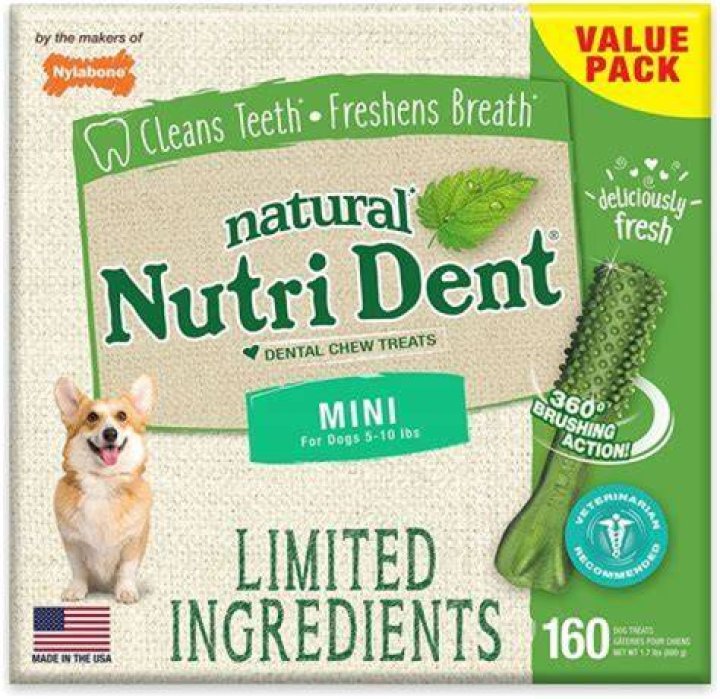 Are ice cubes good for dogs teeth?