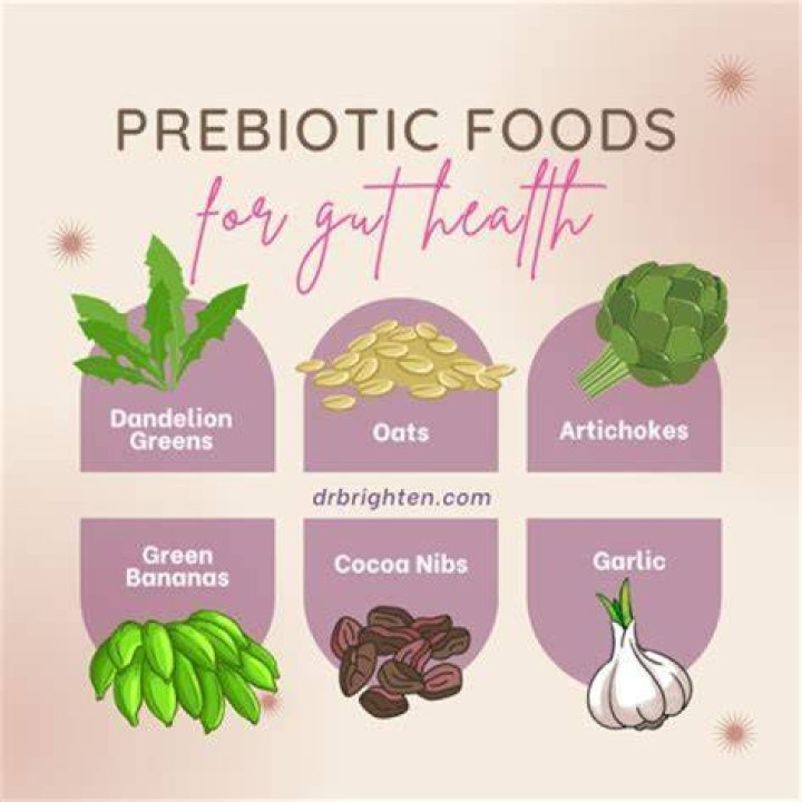 Are oats prebiotic?