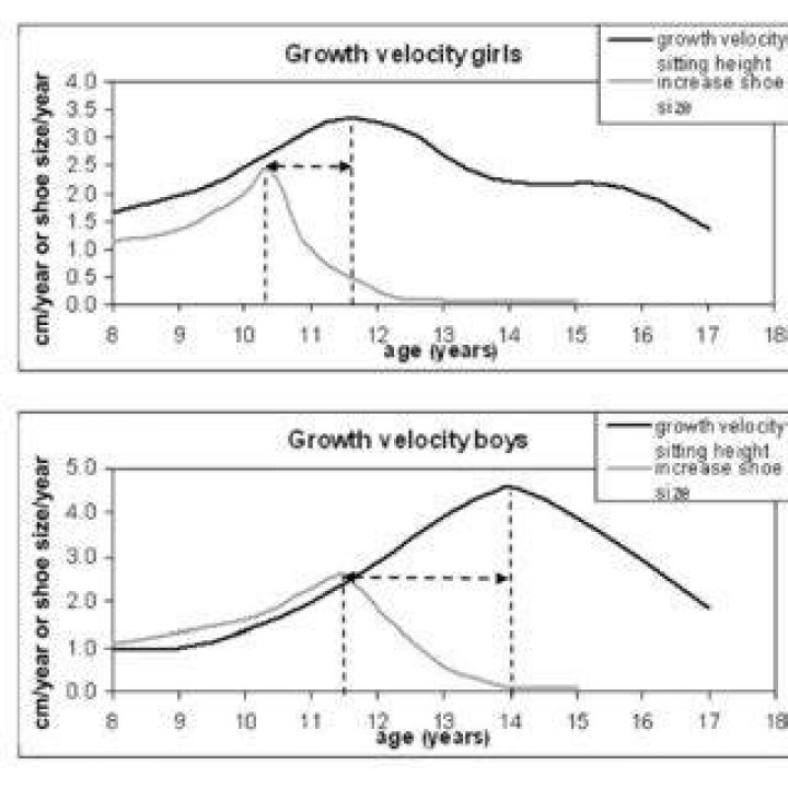 At what age do girls develop curves?