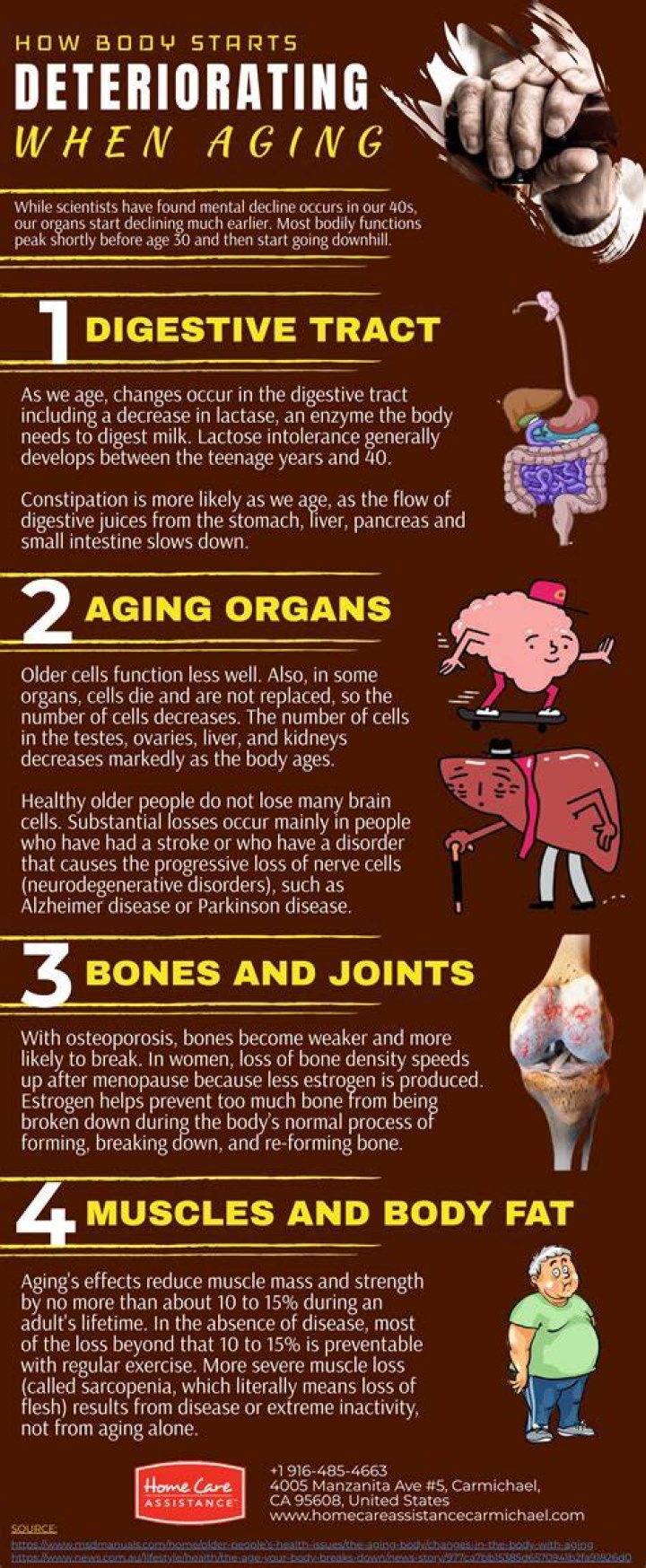 At what age does the body start deteriorating?