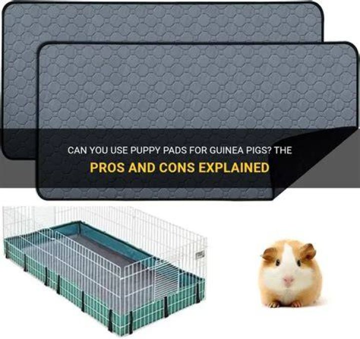 Can I use puppy pads in my guinea pig cage?