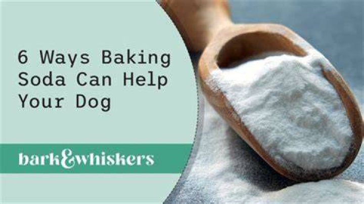 Can I wash my dog with baking soda and vinegar?