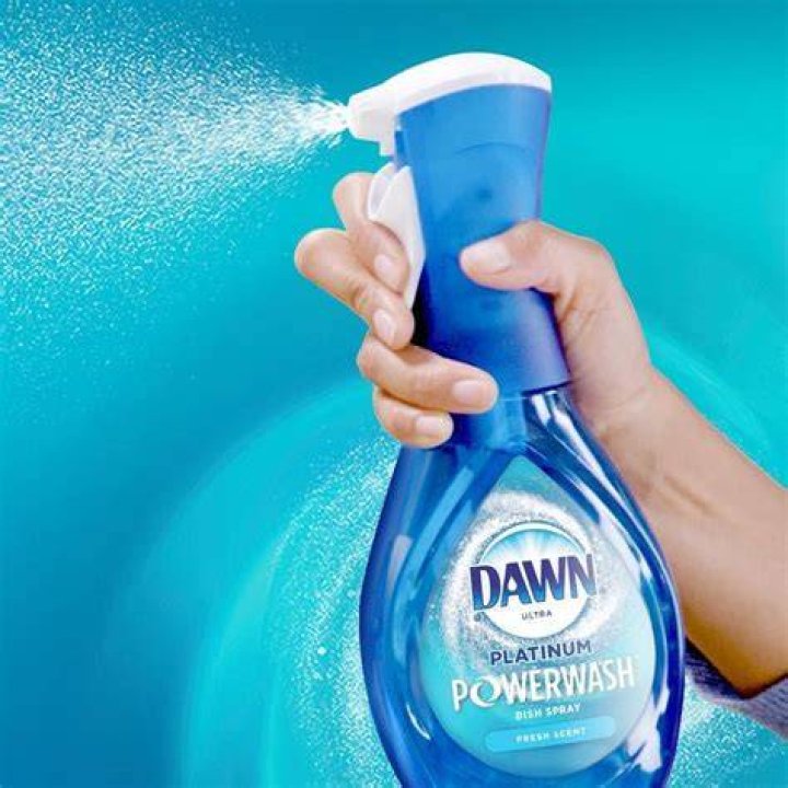 Can you clean your carpet with Dawn?