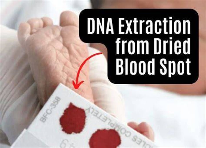 Can you clone from blood?