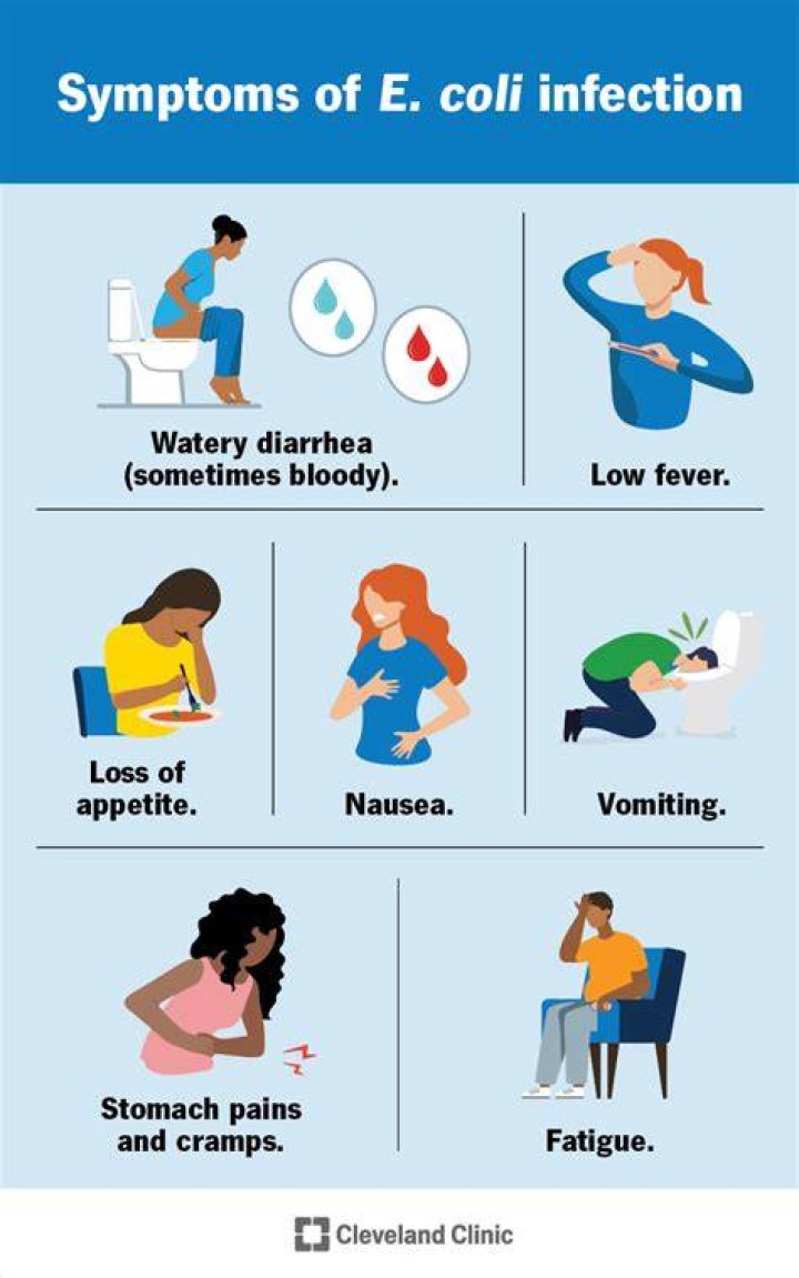 Can you get sepsis from E. coli?