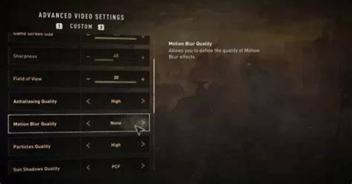 Can you turn off motion blur in Dying Light 2 PS4?