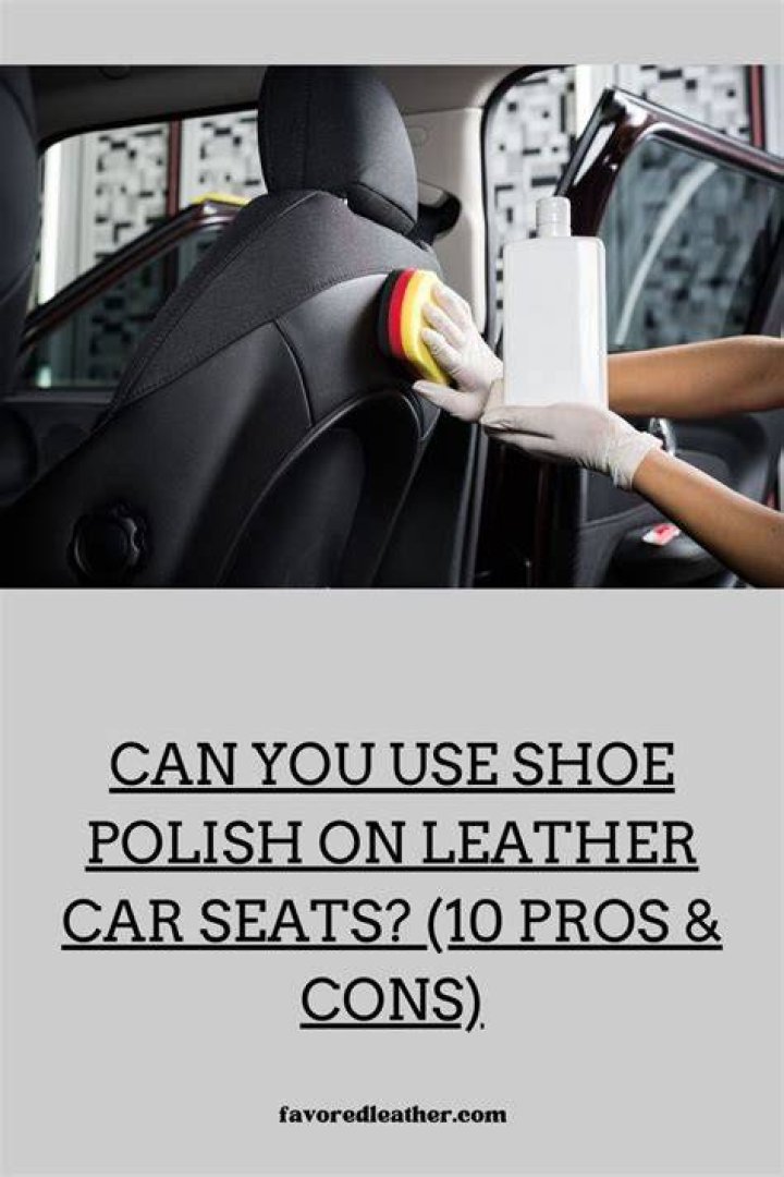 Can you use shoe polish on car interior?
