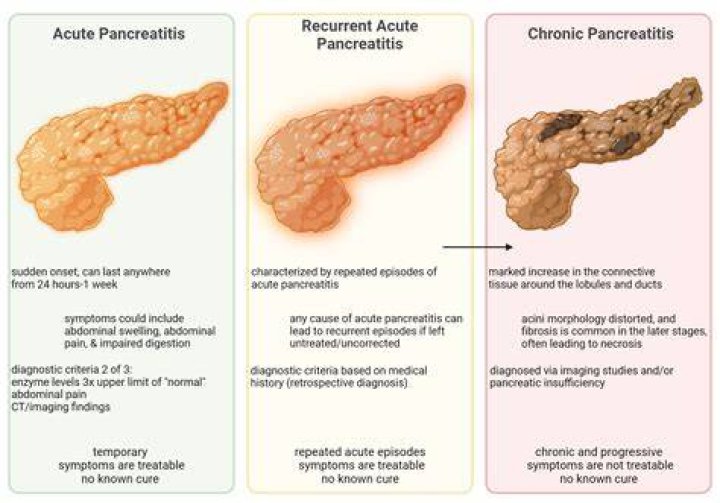 Do eggs cause pancreatitis?