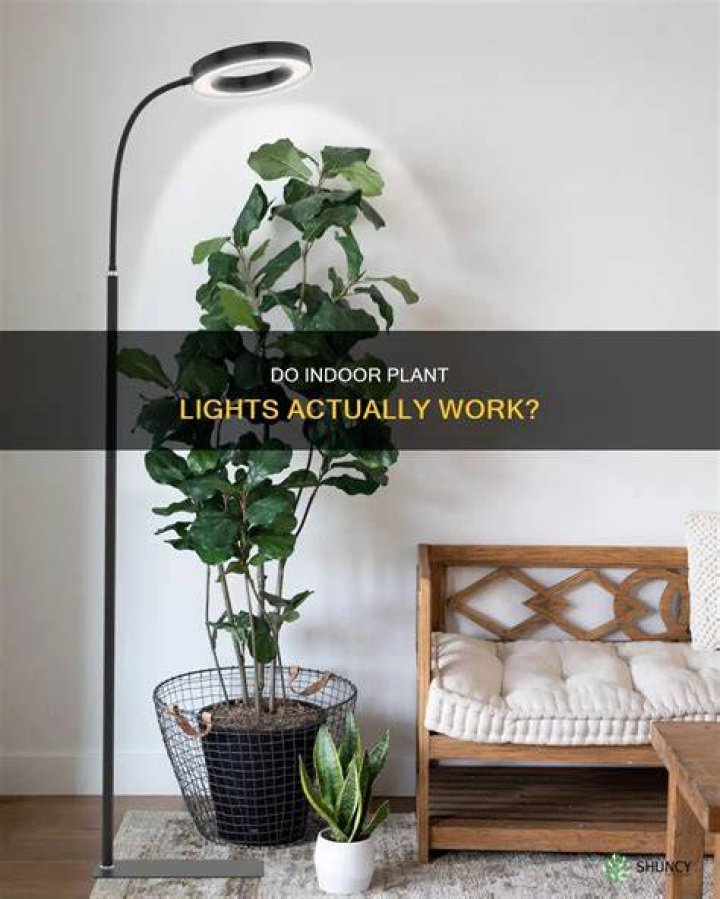 Do indoor plant lights work?
