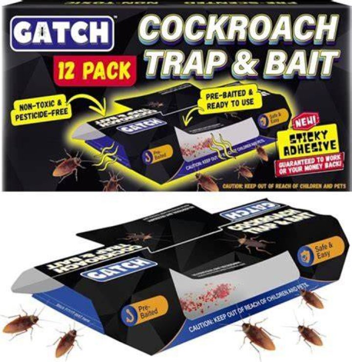Do leaves attract roaches?