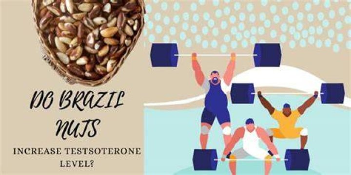 Do nuts increase testosterone?