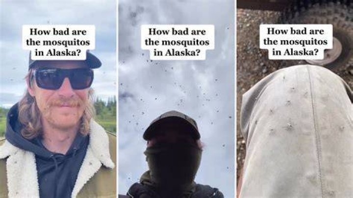 Does Alaska have mosquitoes?