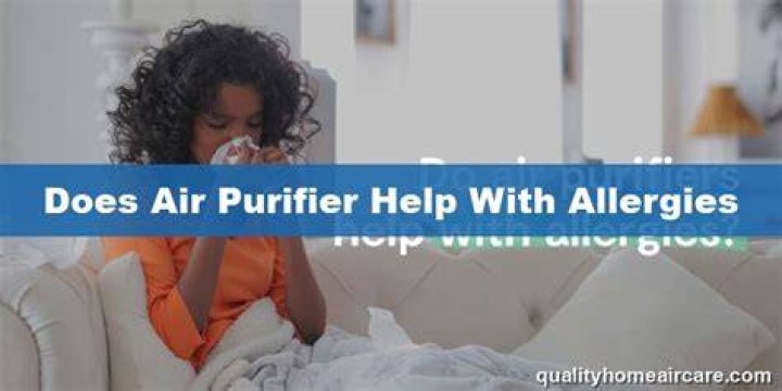 Does an air purifier help with allergies?