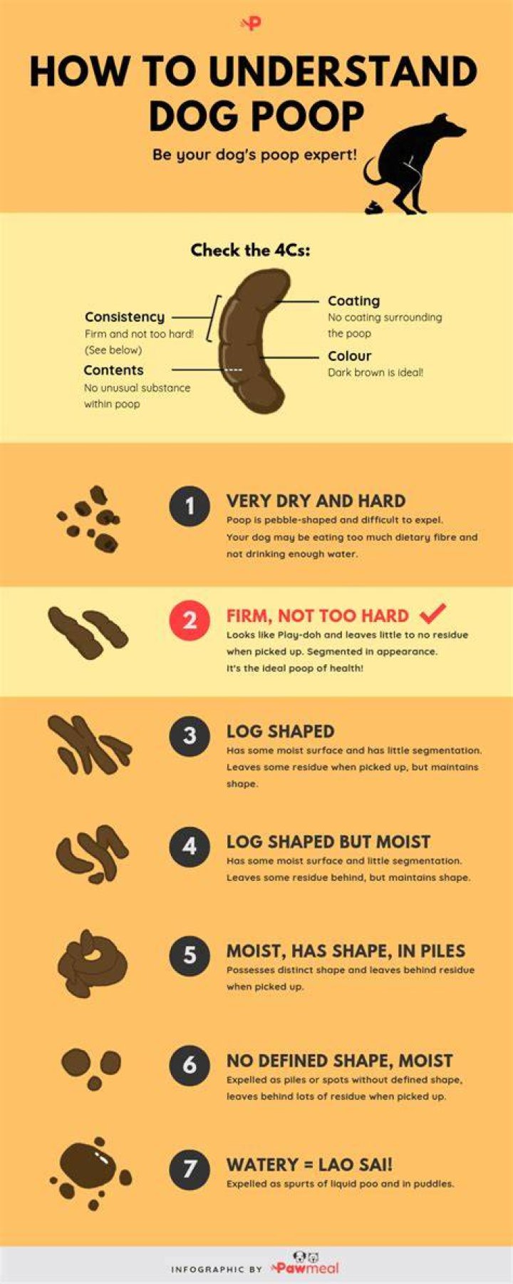 Does egg firm up dog poop?