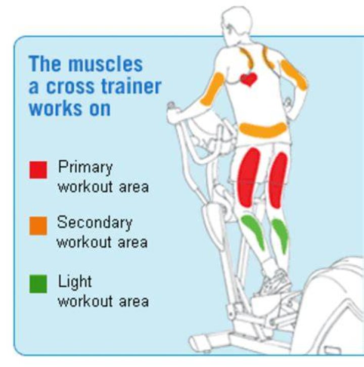 Does elliptical burn thigh fat?