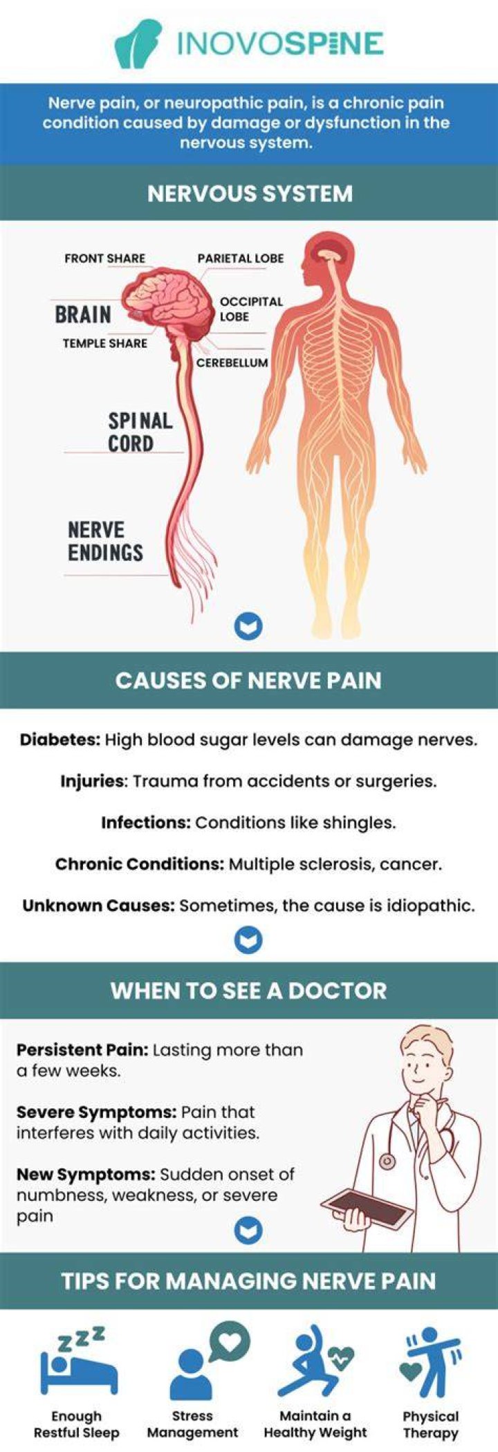 How can you tell if you have nerve pain or muscle pain?