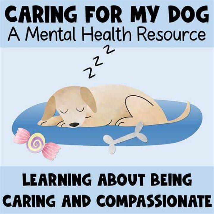 How do I make my dog super calm?