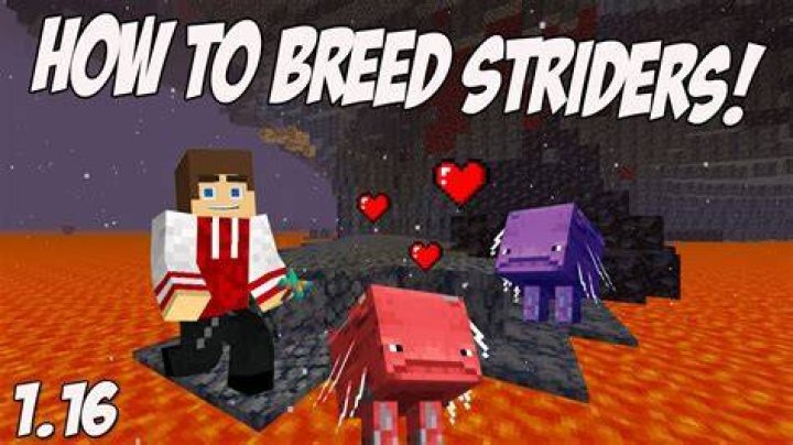 How do you breed a Strider?