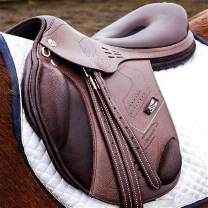 How do you clean and oil a saddle?