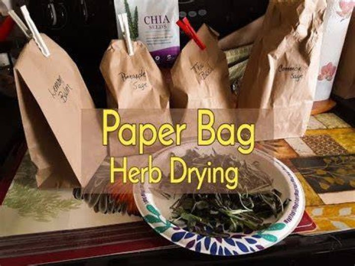 How do you dry fresh herbs in a paper bag?