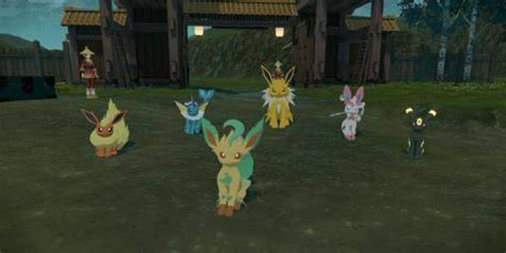 How do you feed Eevee arceus?