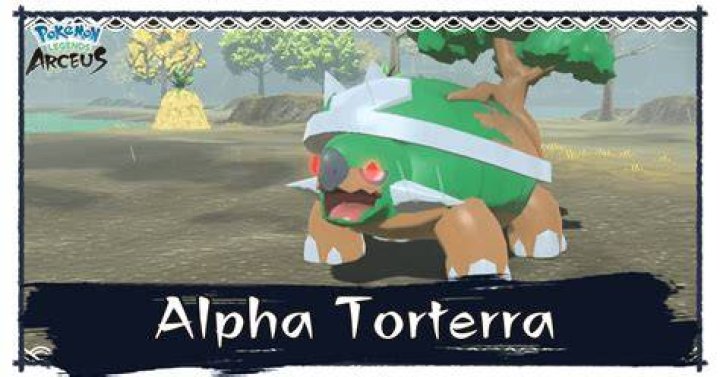 How do you get Torterra Arceus?