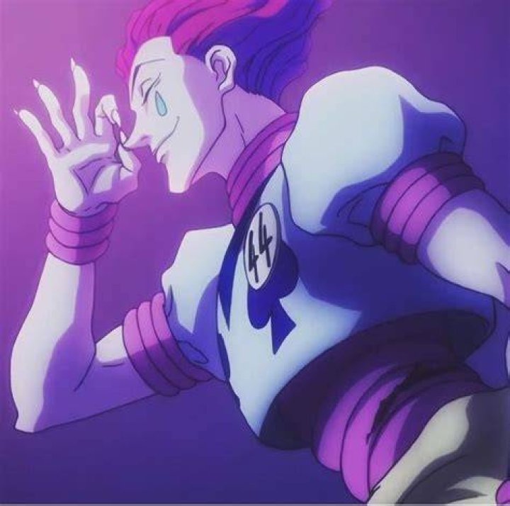 How is hisoka related to Ging?