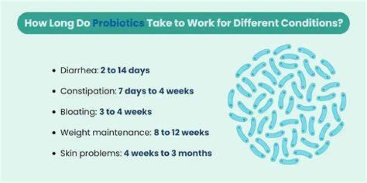 How long does it take for probiotics to start working?