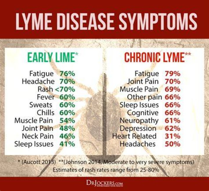 How severe is Lyme disease?