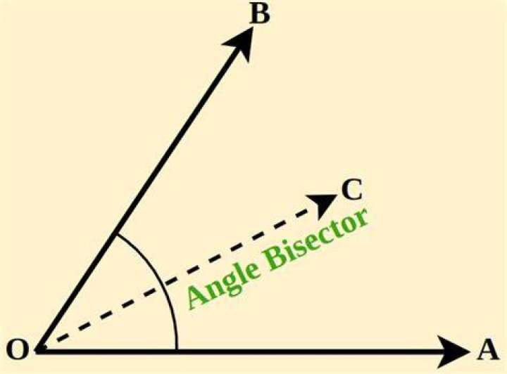 Is a segment bisector also an angle bisector?