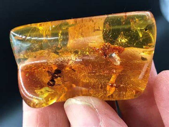 Is amber a rock or mineral?