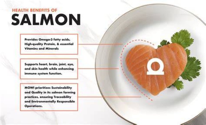 Is eating canned salmon everyday healthy?