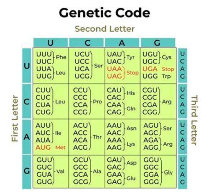 Is gossiping genetic?