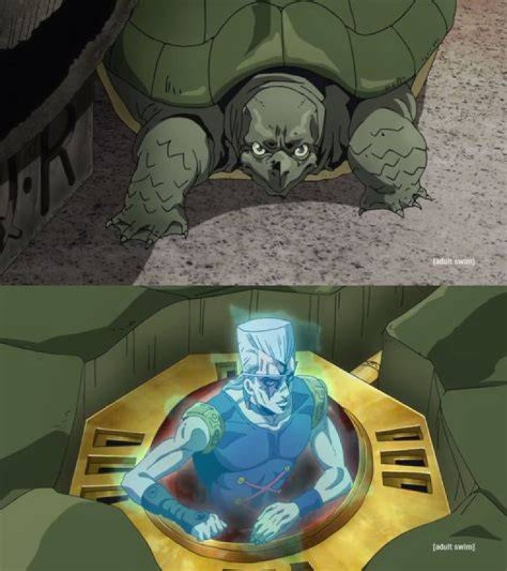 Is polnareff a turtle?