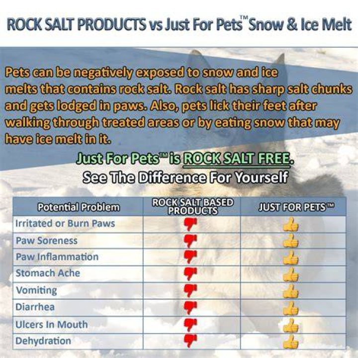 Is rock salt safe for dogs?