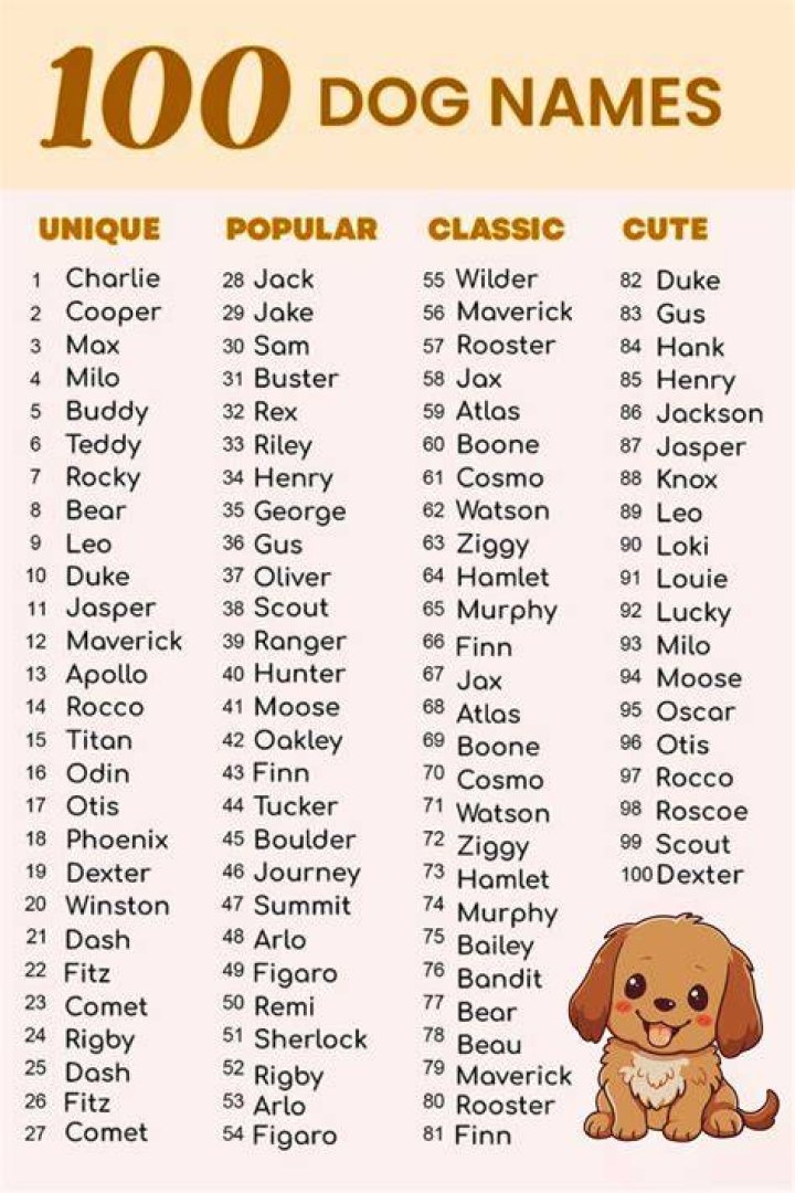 Is sky a boy dog name?