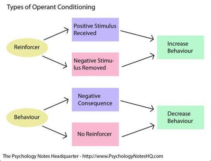 What are the 4 types of operant conditioning?