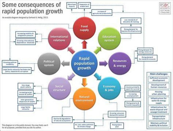 What are the causes and effects of population growth?
