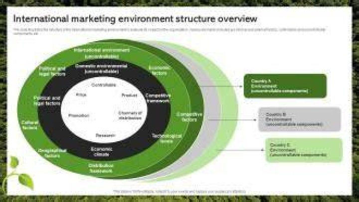 What are the components of international marketing environment?