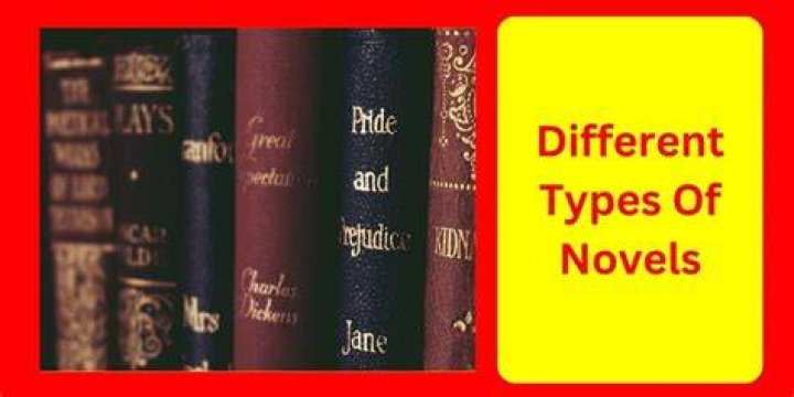 What are the four types of novel?