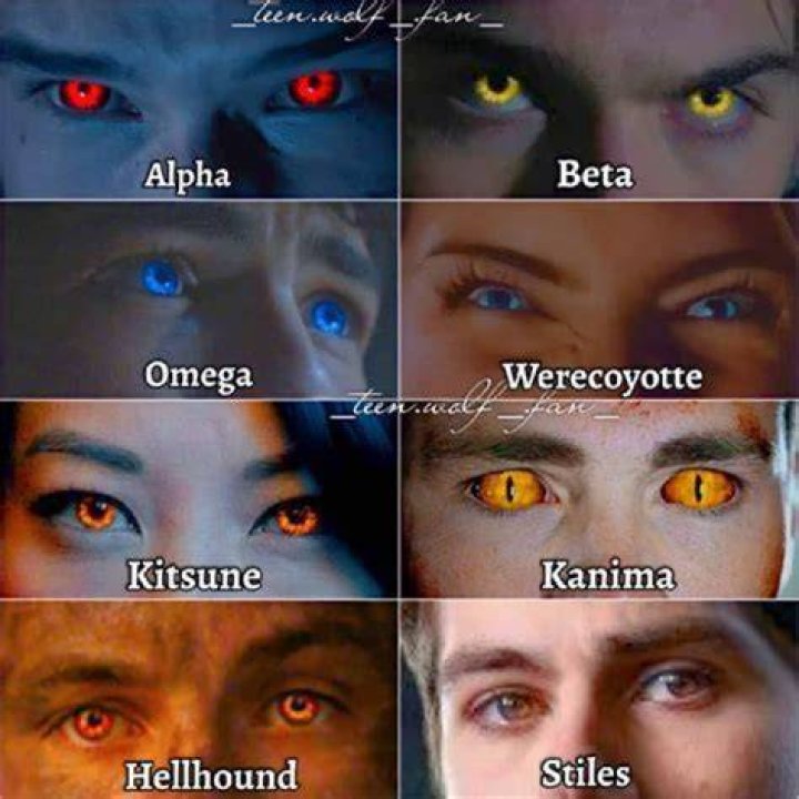 What color eyes do alpha wolves have?