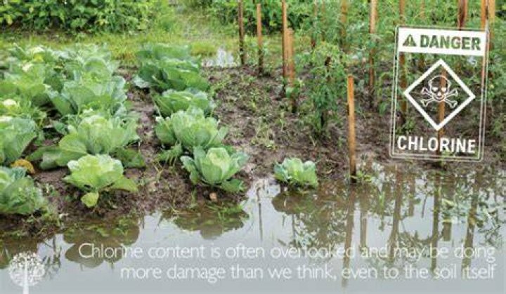 What damage can chlorine do?