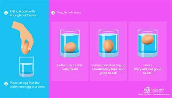 What does it mean if an egg floats?