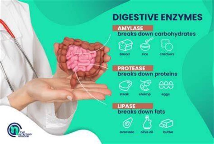 What enzyme breaks dog poop?
