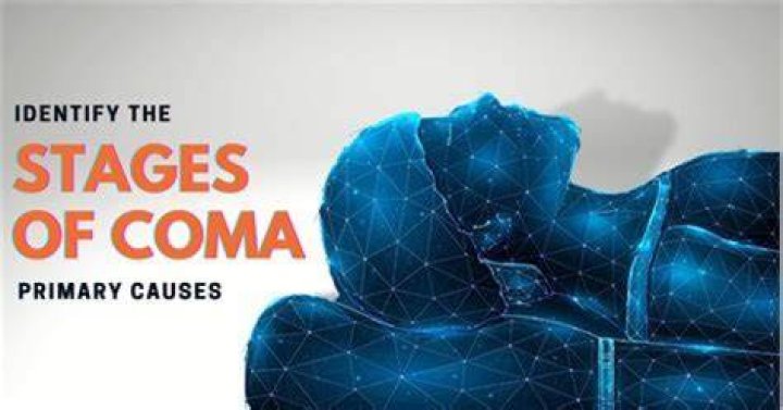 What happens if the pope is in a coma?