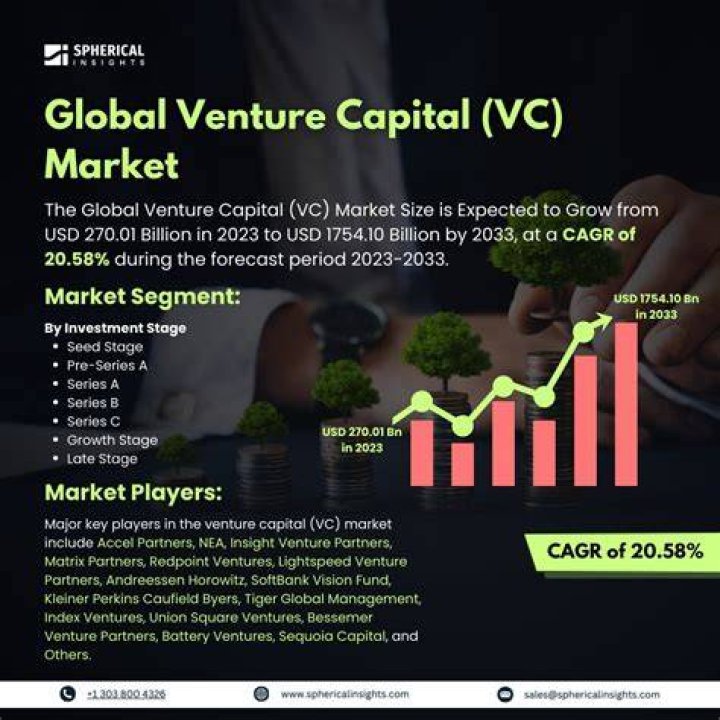 What is a venture capital market?