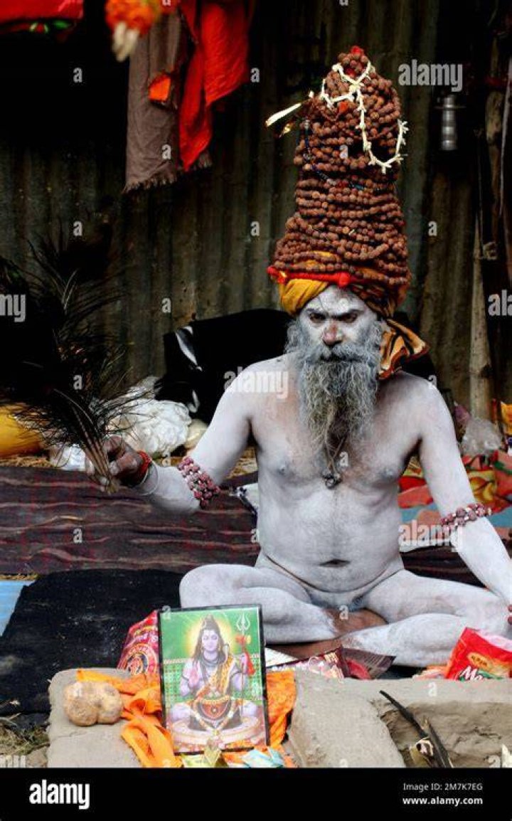 What is meant by Naga sadhu?