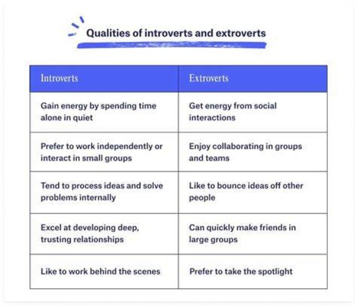 What is the best job for an introvert person?