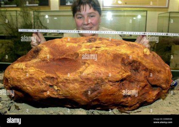 What is the largest piece of amber found?